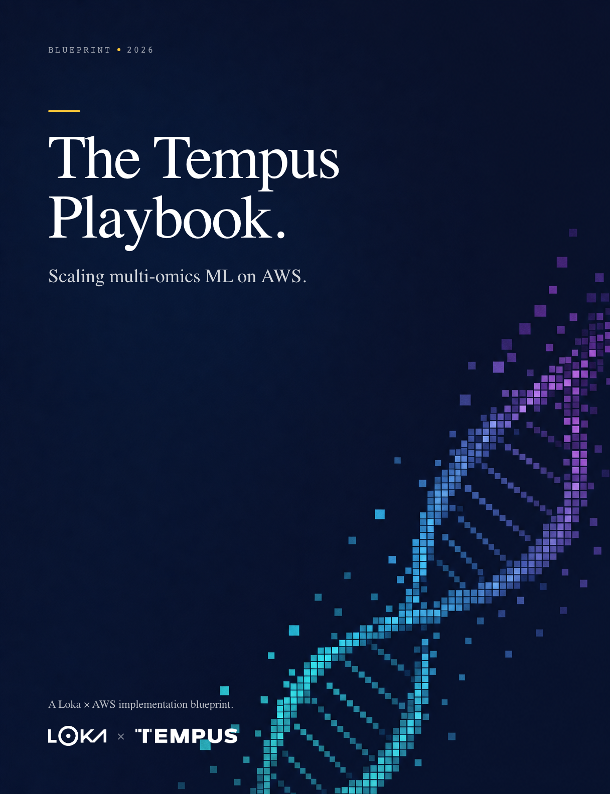 Tempus ebook cover